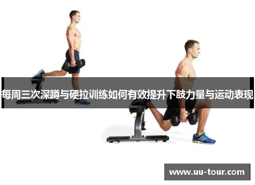 每周三次深蹲与硬拉训练如何有效提升下肢力量与运动表现